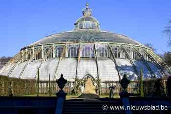 Stad Brussel en Sibelga bouwen warmtenet in deelgemeente Neder-Over-Heembeek
