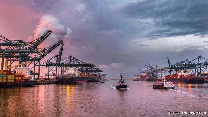 Antwerpen steekt Rotterdam in containeroverslag voorbij in eerste kwartaal