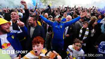 How does winning promotion to the Premier League feel?