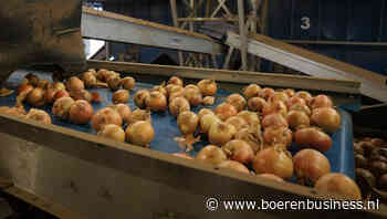 Uienexport laat even een dipje zien