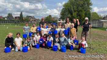 Leerlingen zaaien wilde bloemen: "Dit wordt een restaurant voor de bijen"