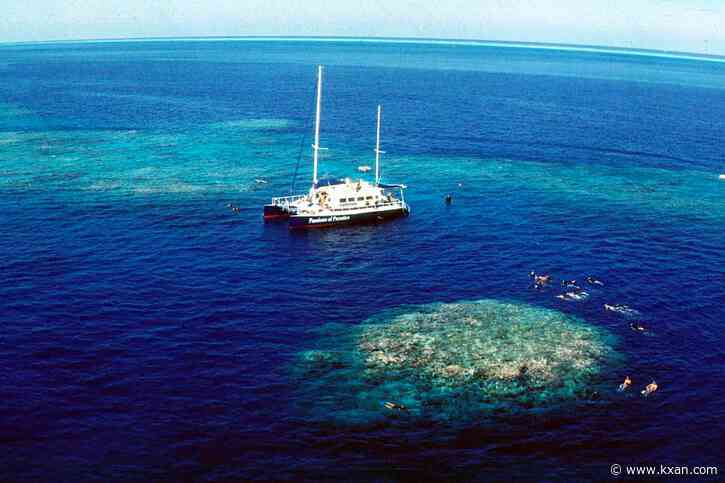 Oceans are in crisis this Earth Day; how scientists stay optimistic