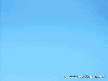 Muizen in huis? Zo kom je ervan af