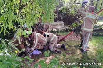 Brandweer redt ree uit voetbalgoal