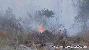 As dry season continues, Manatee County the latest to issue burn ban