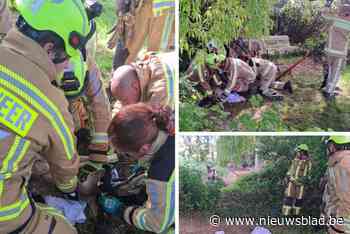 Brandweer redt jonge ree uit voetbalgoal