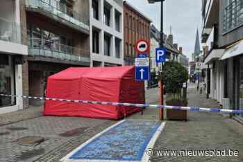 “Politielint genegeerd en ongepaste foto’s genomen”: politie vraagt meer respect na incidenten tijdens interventie voor dodelijk ongeval