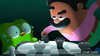 Knight Takes Pawn. Chess Lessons Are Coming to Duolingo