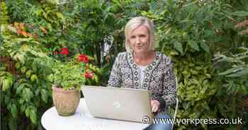 York firm makes national finals for selling 'experiences'