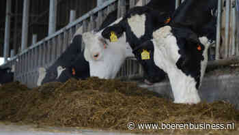 Balans raakt nog niet verstoord in fouragehandel