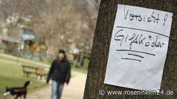 Giftköder in Bachmehring? Meldung in sozialen Medien sorgt für Aufruhr – Das sagt die Polizei