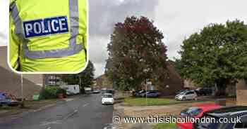 Double stabbing in Harold Hill 'not gang-related' as police increase patrols