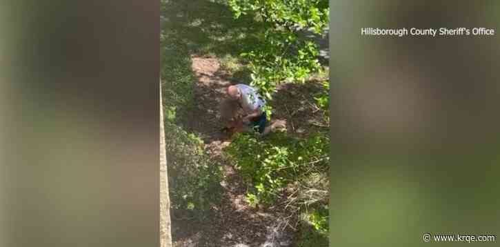 VIDEO: Man pins down 11-year-old girl he assumed threw eggs at his home