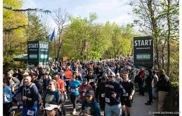 Thousands expected at Bronx Zoo for 17th Annual WCS Run for the Wild on Saturday