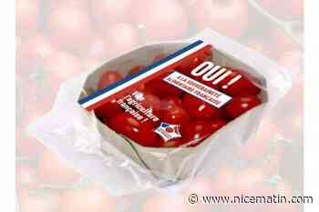 "Oui! À la souveraineté alimentaire française": des producteurs lancent une opération pour lutter contre l'achat de tomates importées