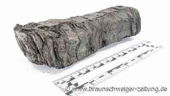 Italien: Verbrannte Schriften enthüllen uraltes Geheimnis