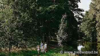 Kasterlee viert feest aan Kleine Nete: muziek, circusworkshop, fotozoektocht en streeklekkers