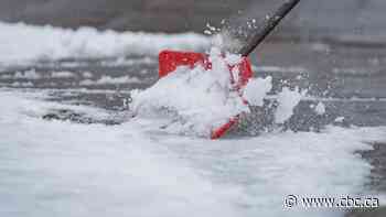 Eastern Sask. under snowfall warning, with poor driving conditions expected