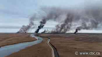 'Deliberately' set Walpole Island fires destroy wildlife habitat