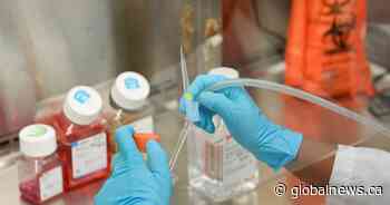 Ford government boosts STEM funding at struggling Ontario post-secondary schools