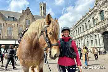 “Een eerbetoon aan het Belgisch trekpaard en aan opa”: Hilse en Elixir begonnen aan maandenlange wandeling