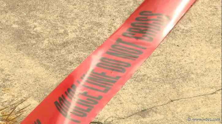 Police investigating homicide after woman found dead in apartment