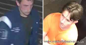 CCTV appeals over 'large group machete fight' and attempted burglary