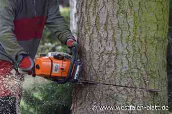 Verkehrseinschränkungen im Stadtgebiet