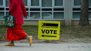 Record 7.3MCanadians voted during advance polls: Elections Canada