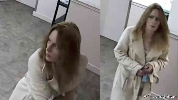 AbbyPD seeks help ID’ing female suspect in residential break and enter