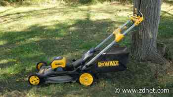 The best lawn mowers of 2025: Expert picks