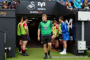 Wales' potential new coaching team as two Welsh icons could reunite