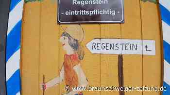 Ausflugstipp für Familien im Harz: In dieser Ruine darf man klettern
