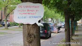 Groen Deurne laat bomen ‘spreken’ op Dag van de Aarde