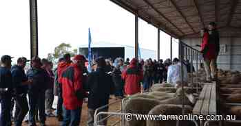 Lamb price fluctuations continue as season results in 'two-speed market'