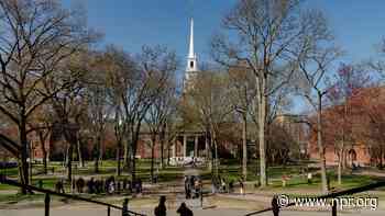 Inside Harvard's lawsuit against the Trump administration