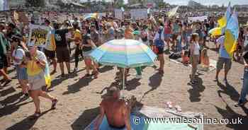 British tourists warned 'don't come' as Tenerife is 'on brink of collapse'