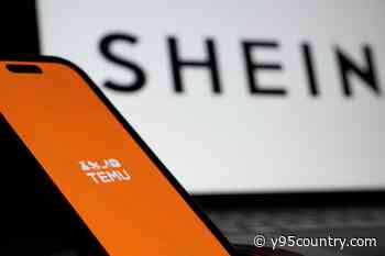 Shop With Shein + Temu? Here's When to Expect Price Increases