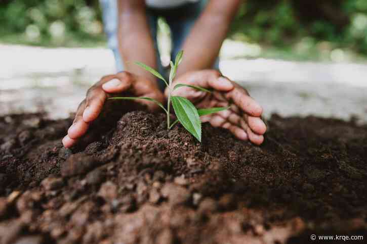 Elementary school students plant seeds in Albuquerque for Earth Day