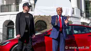 Gewinneinbruch von 71 Prozent – Warum die Tesla-Aktie dennoch rasant steigt