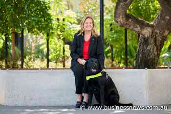 Guide dog snub for Perth lawyer