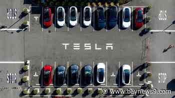 Musk says he'll spend less time in Washington and more time running Tesla after its profit plunges