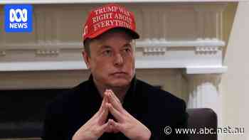 Tesla investors cheer 'beginning of the end' of Musk’s White House stint