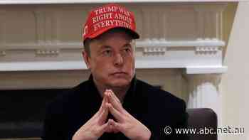 Tesla investors cheer 'beginning of the end' of Musk’s White House stint