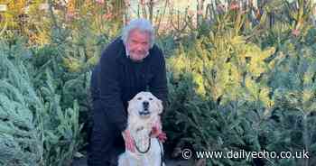 From flowers to veg - five of the best garden centres near Southampton