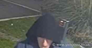 Bike thief strikes in York suburb