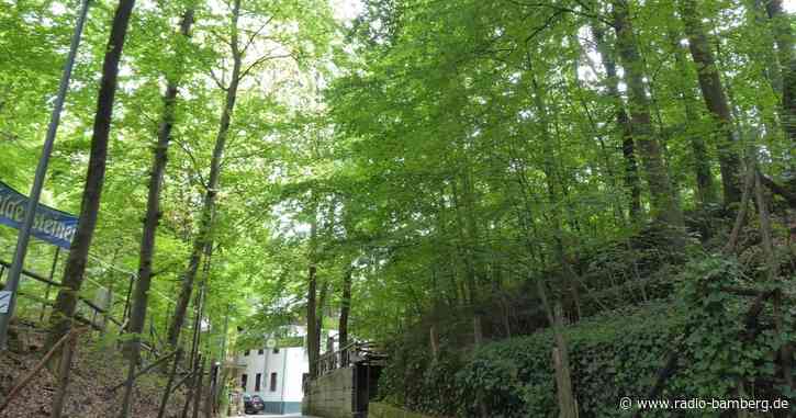 Es wird königlich in Forchheim