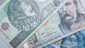 Wat gaat er schuil achter kracht van kroon en zloty?