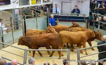Livestock auctions deliver £2.5 billion boost as prices surge