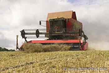 NFU urges chancellor to invest in farming to 'safeguard' UK food